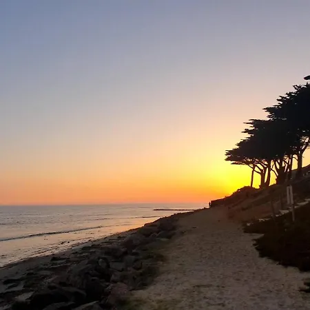 Maison Spacieuse 6 Couchages, Proche A La Gueriniere, Jardin Clos, Terrasse, Calme - Fr-1-224b-132 Nyaraló *